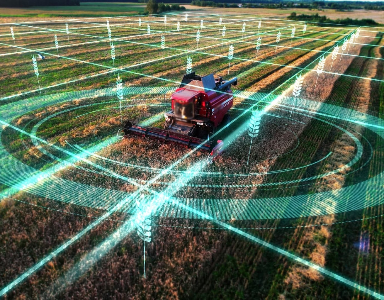 Цифрова трансформація агро: як Україна випереджає світ, - ifarming.ua 